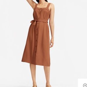 Everlane Japanese GoWeave Picnic Dress